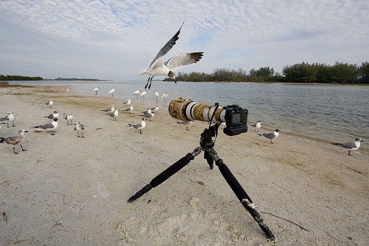 Arbeitsfoto